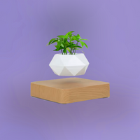 Floating Pot Plant